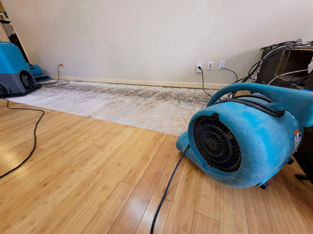 Professional Sewage Cleanup technician working in Hatfield, PA